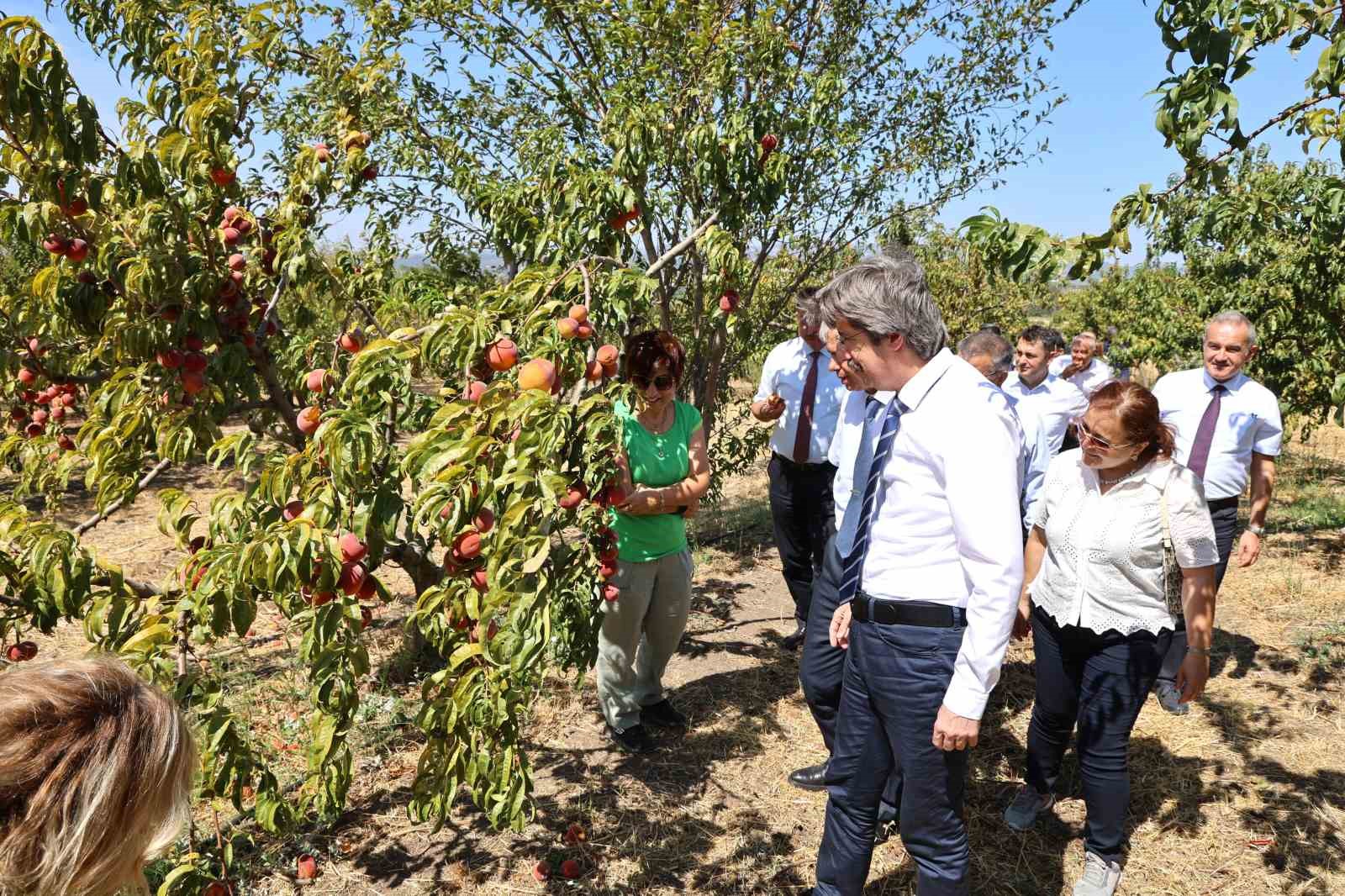 BUÜ, ziraat ve ormancılık alanında dünyada ilk 500’de
