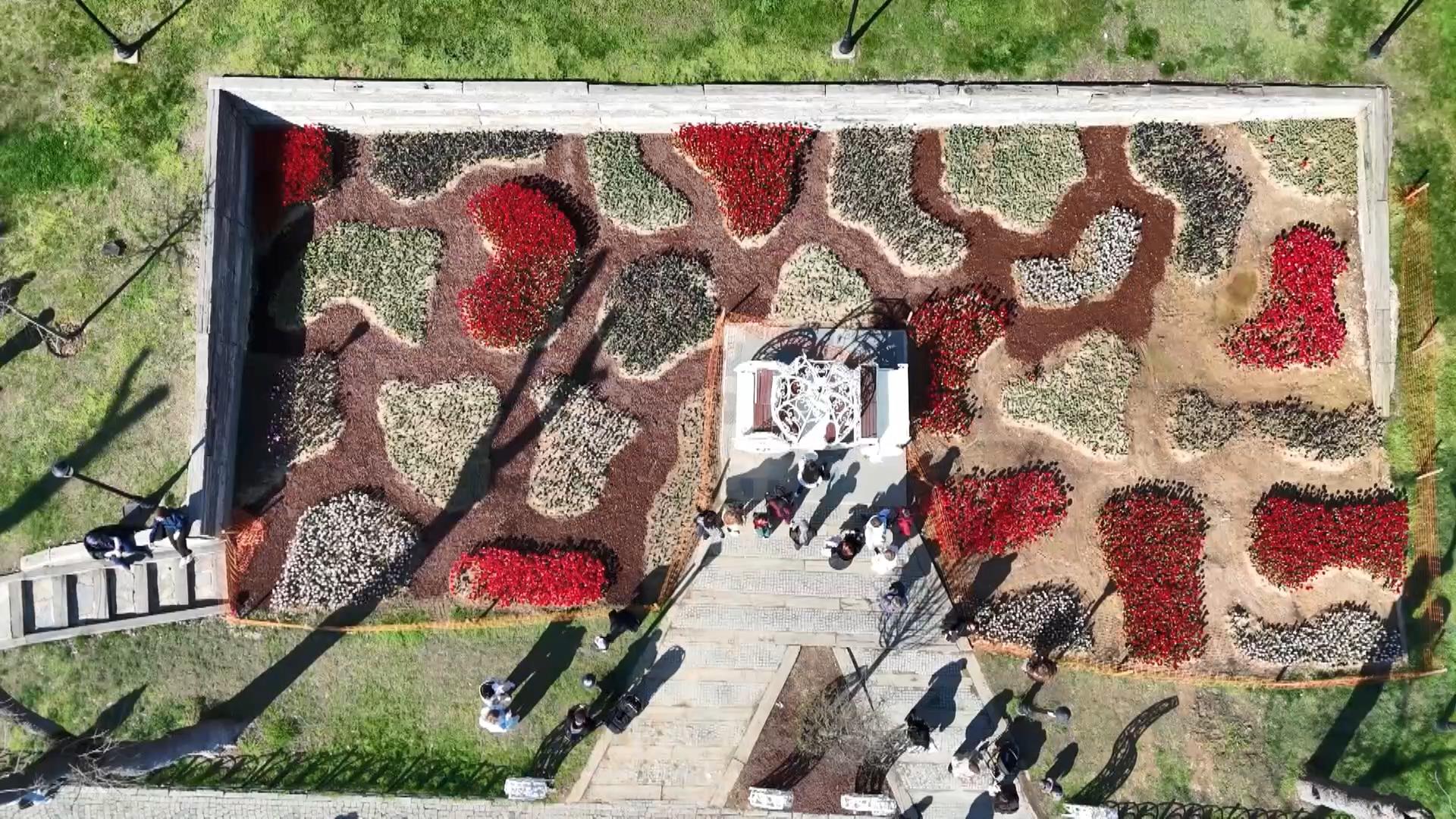  İstanbul'da lale zamanı; tarihi park ve korulara 3 milyon 580 bin lale dikildi 
