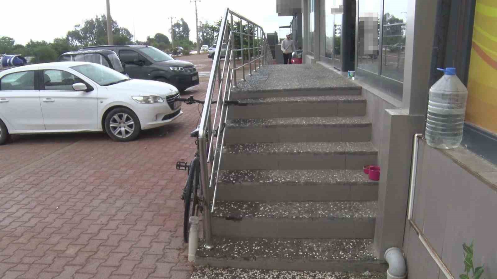 Antalya’da yabancı uyruklu şahıs kedinin üzerine bastı, köpeği tekmeledi
