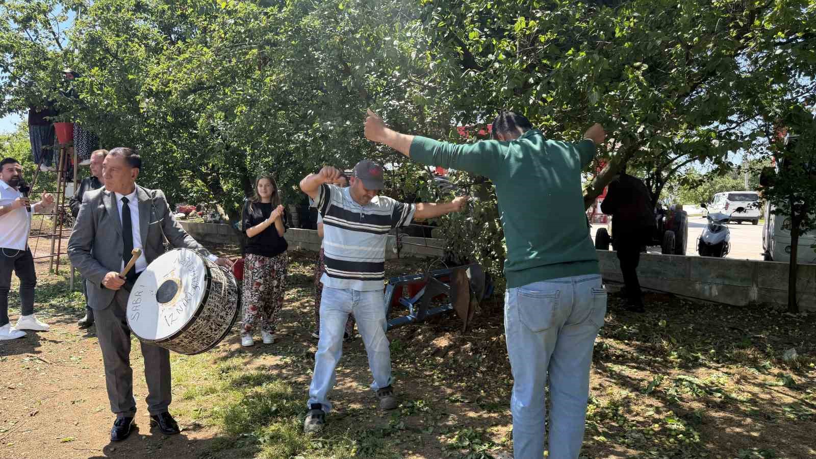 Davullu zurnalı erik hasadı
