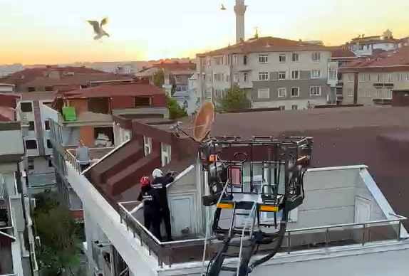 Avcılar’da yuvadan düşen yavru martıları itfaiye kurtardı 