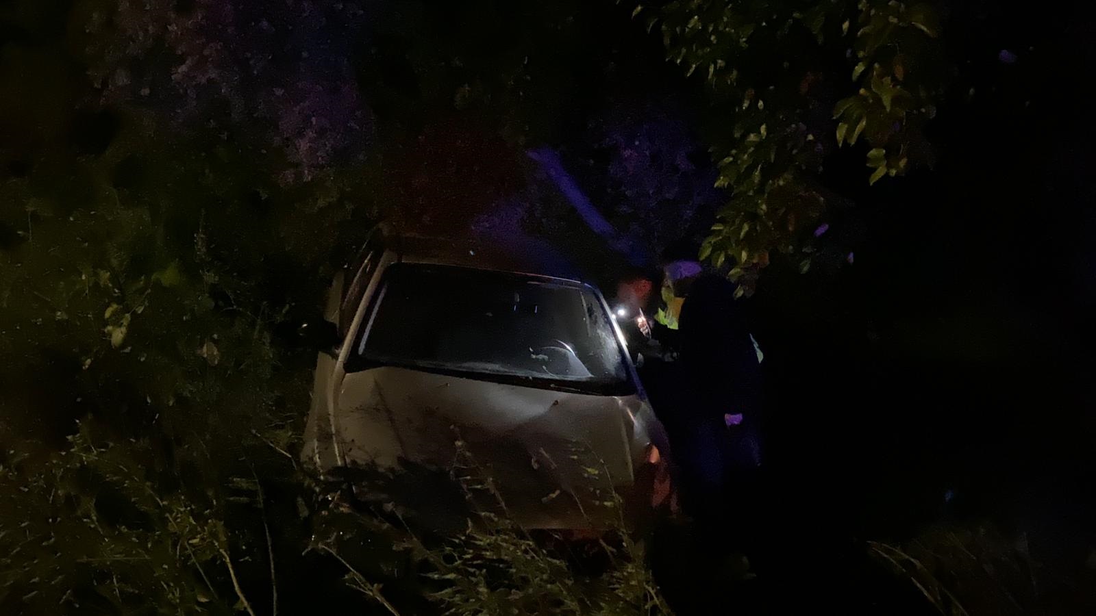 Bursa'da otomobil zeytinliğe uçtu: 2'si çocuk 4 yaralı