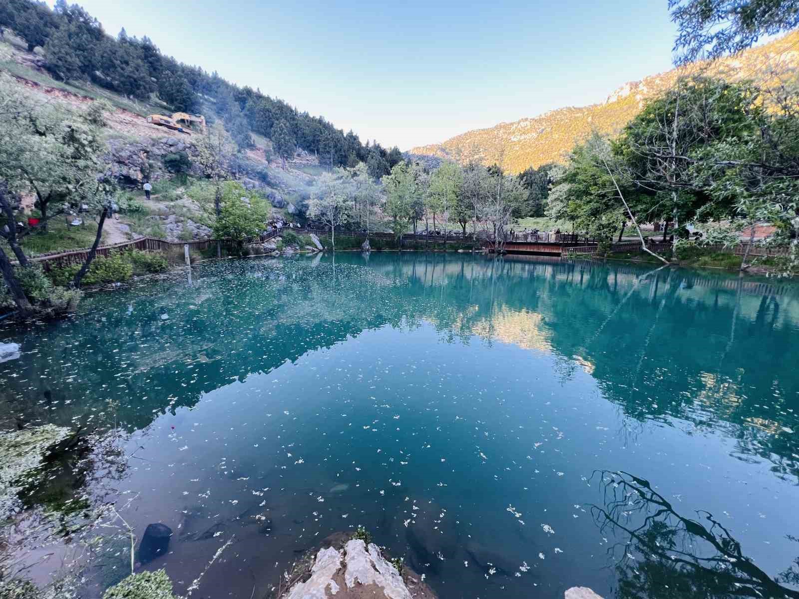 Kahramanmaraş’ta "Yeşilgöz" göz kamaştırıyor
