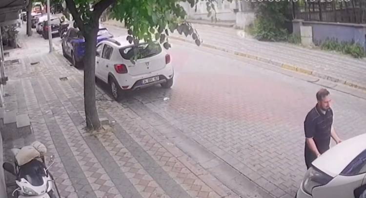 Sultangazi'de kaputun altından kuş, direksiyonun içinden kertenkele çıktı