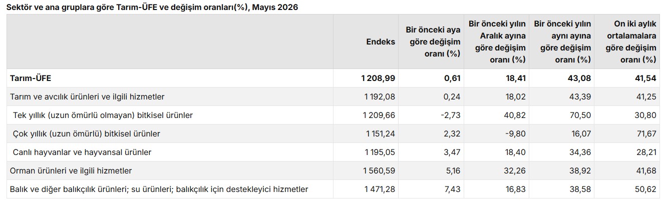 TÜİK: Tarım ürünleri üretici fiyatları mayısta arttı