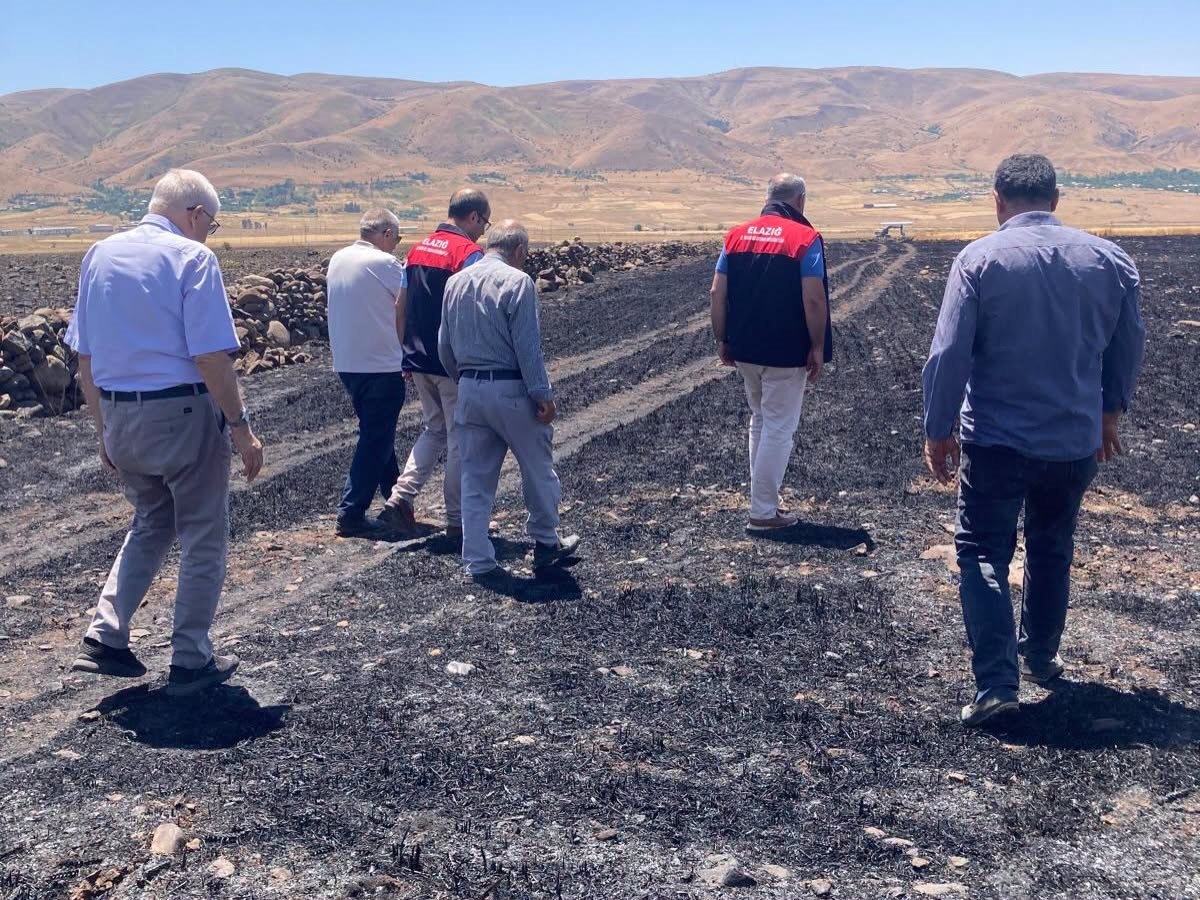 Elazığ’da küle dönen 70 dönümlük ekili alanda hasar tespit çalışmaları
