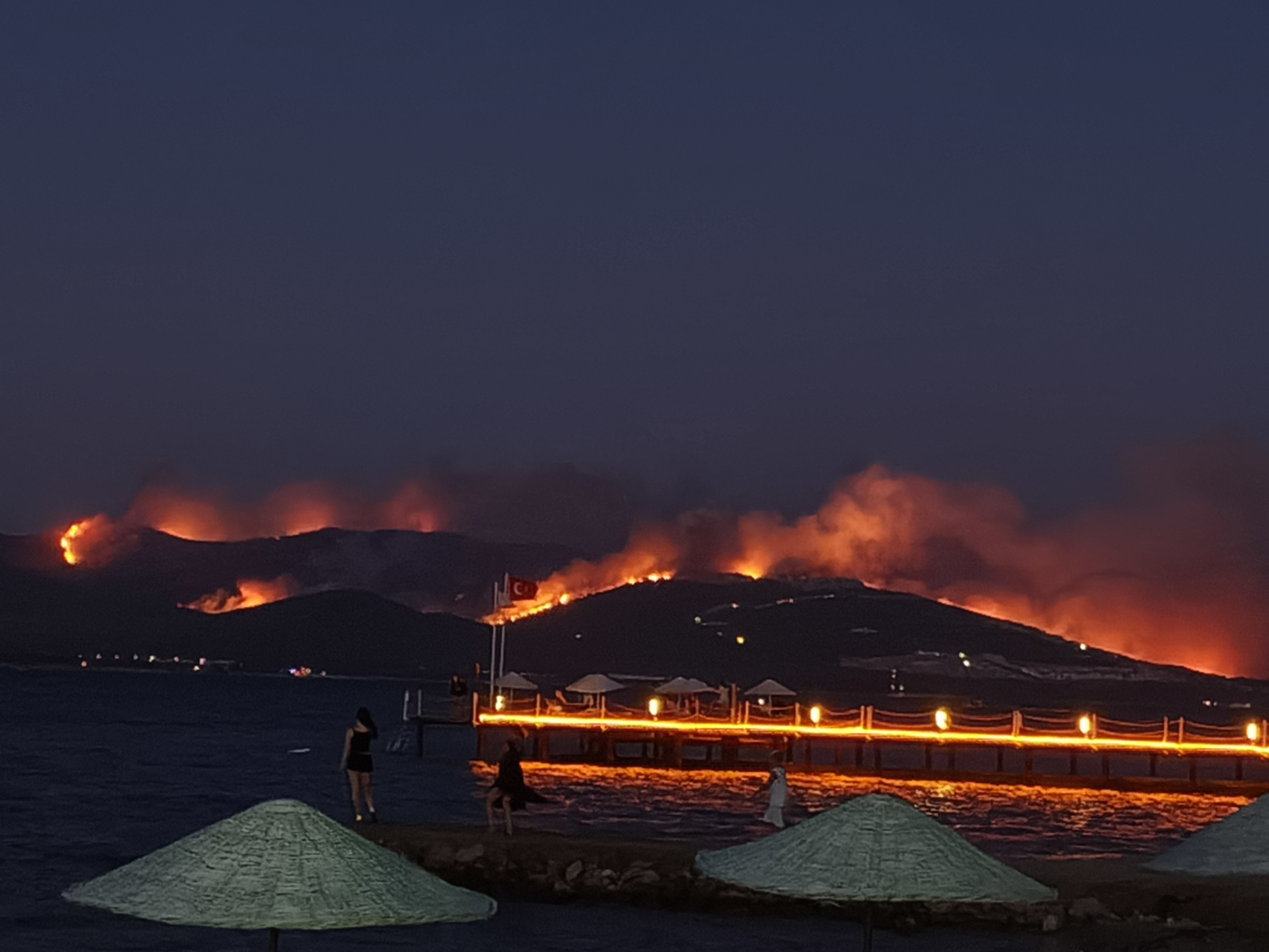 Milas'ta orman yangını / Ek fotoğraflar 